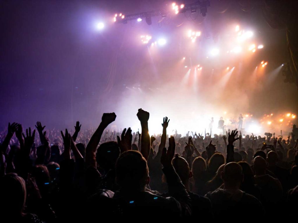 Live concert crowd