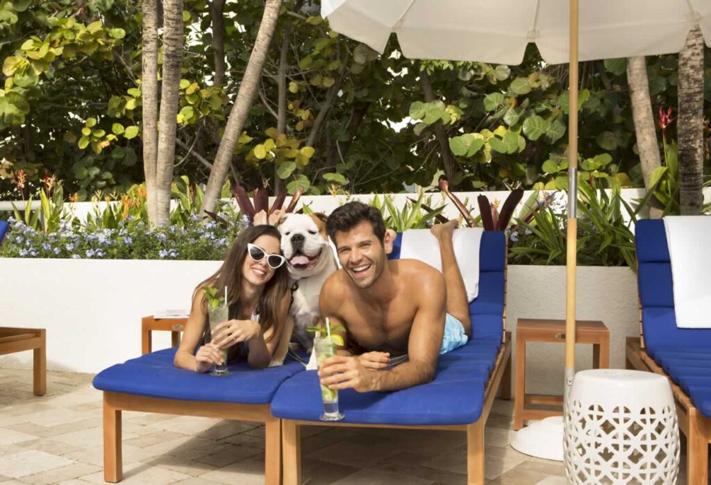 Poolside with pet